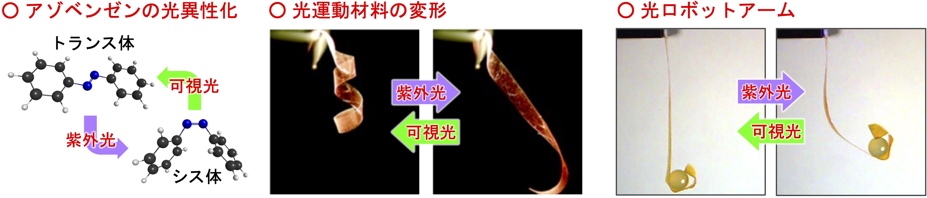 光運動材料.jpg